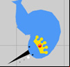 Narwhale.io