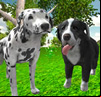 Dog Simulator 3D