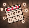 Amazing Sudoku