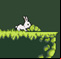 Bunny Hop