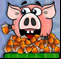 Piggy Wiggy